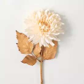 Blossoming Cream Dahlia Stem