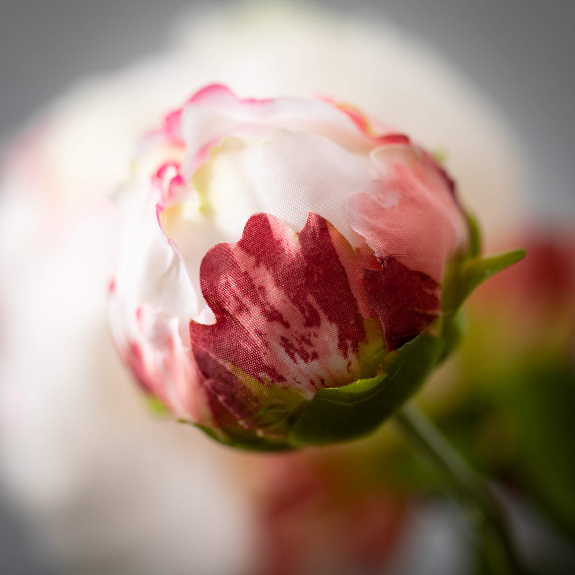 Classic Cream Peony With Bud