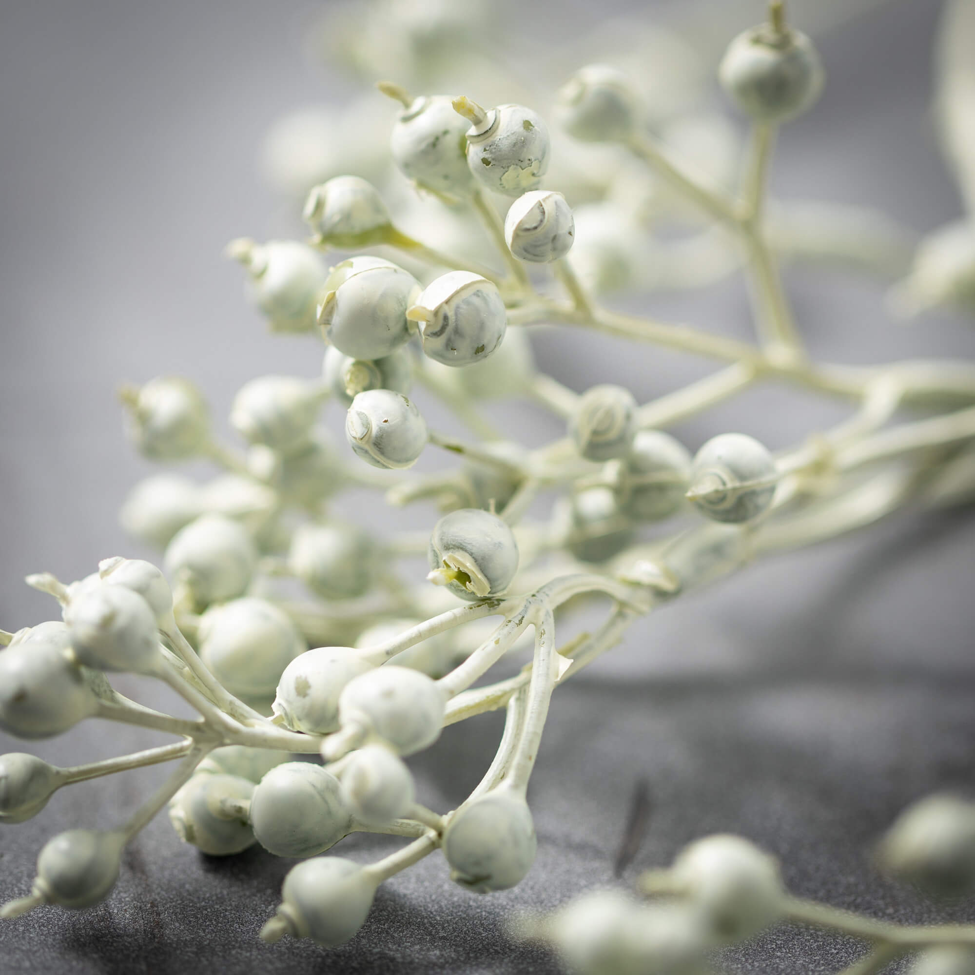 Cream Green Brilliant Berries