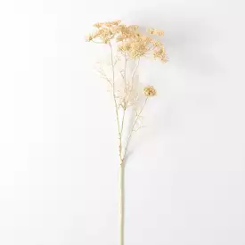 Cream Queen Anne'S Lace Spray