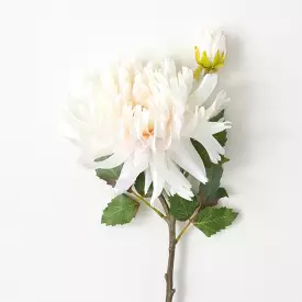 Soft Cream Dahlia Spray