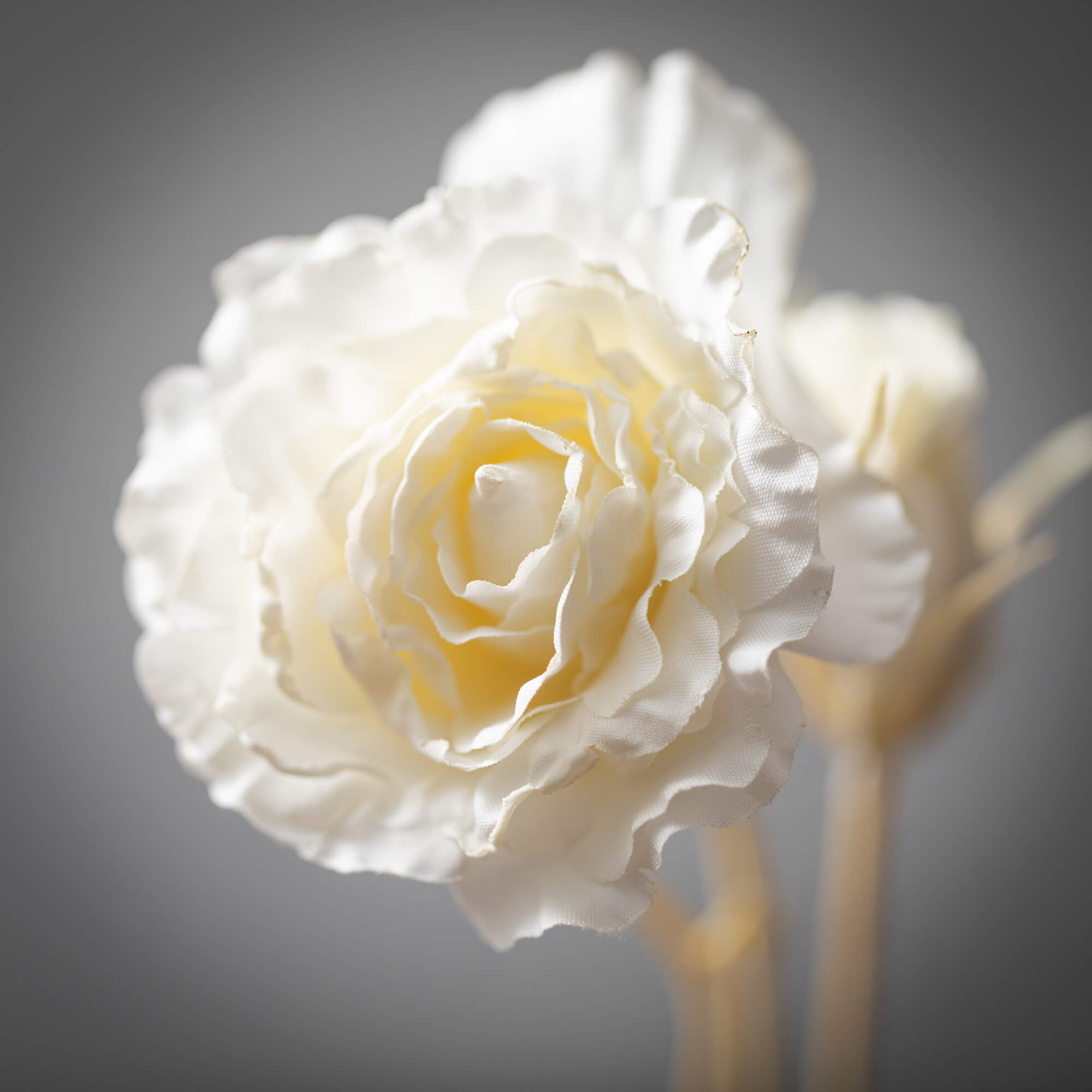 Soft Cream Lisianthus Spray