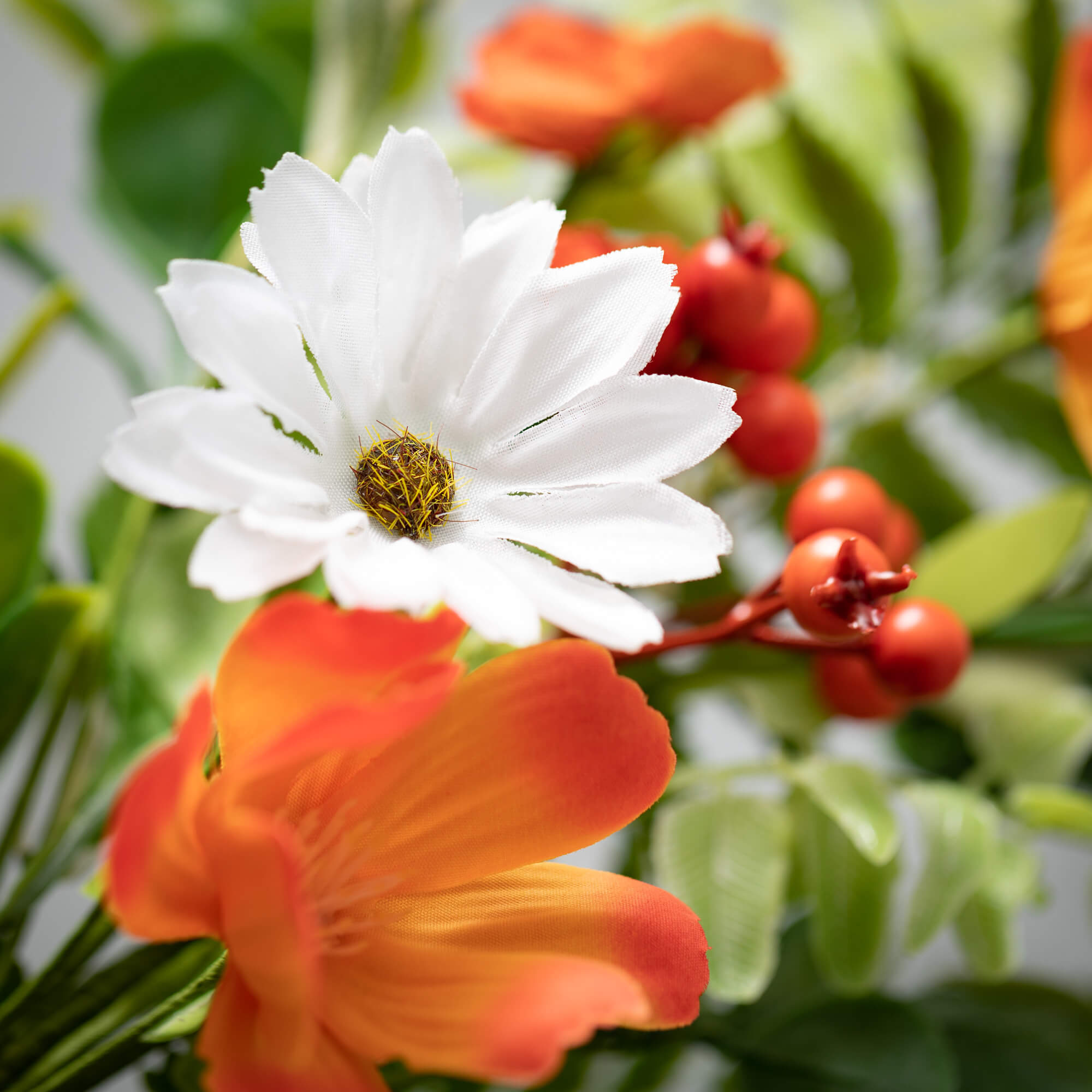 Tangerine Cream Floral Bush